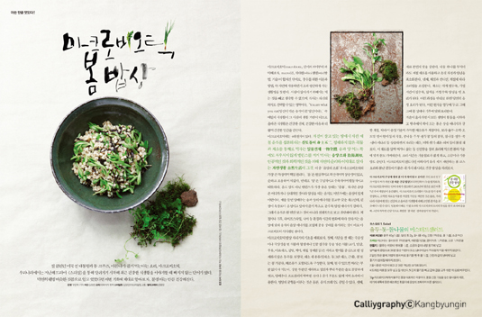 이미지입니다.